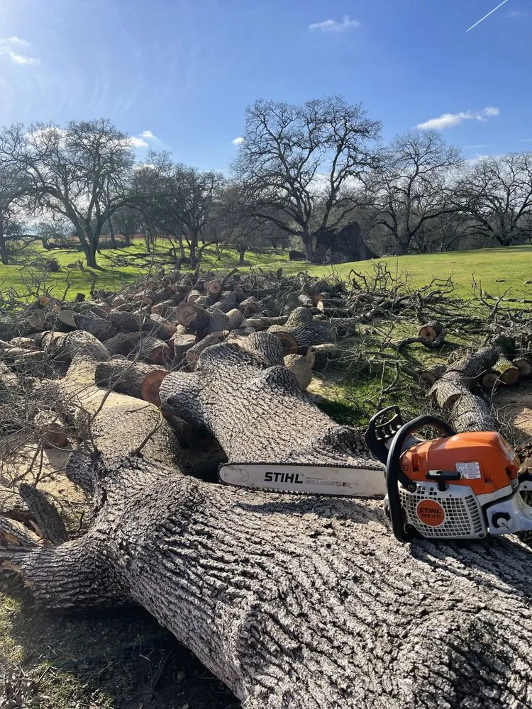 Professional landscape design in Ione, CA - Property Landscape Solutions