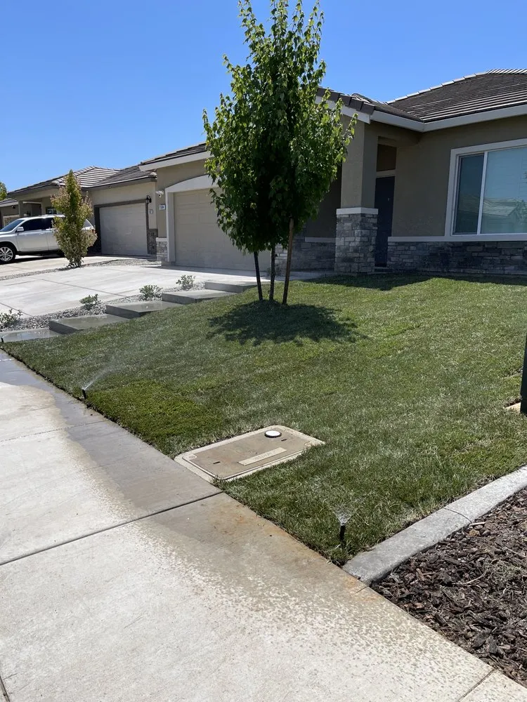 Top-rated landscape design in Ione, CA - Property Landscape Solutions