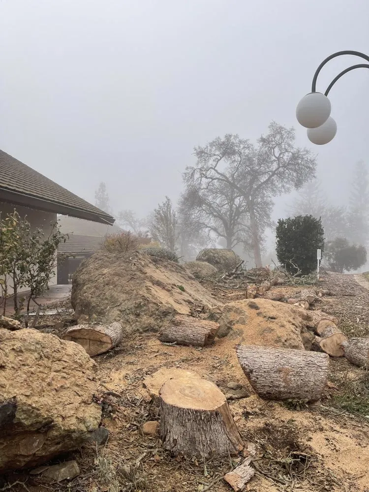 Professional lawn mowing service for residential properties in Ione, CA by Property Landscape Solutions