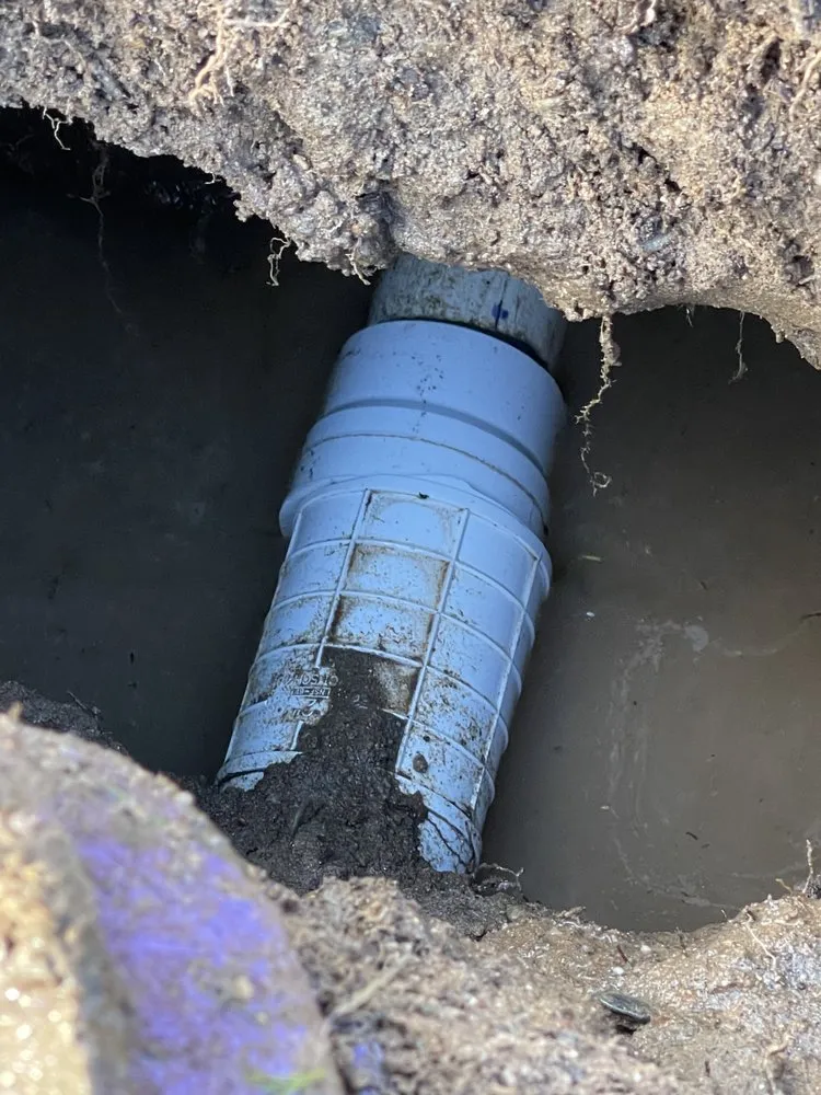 Top-rated landscape installation for beautiful yards in Ione, CA by Property Landscape Solutions