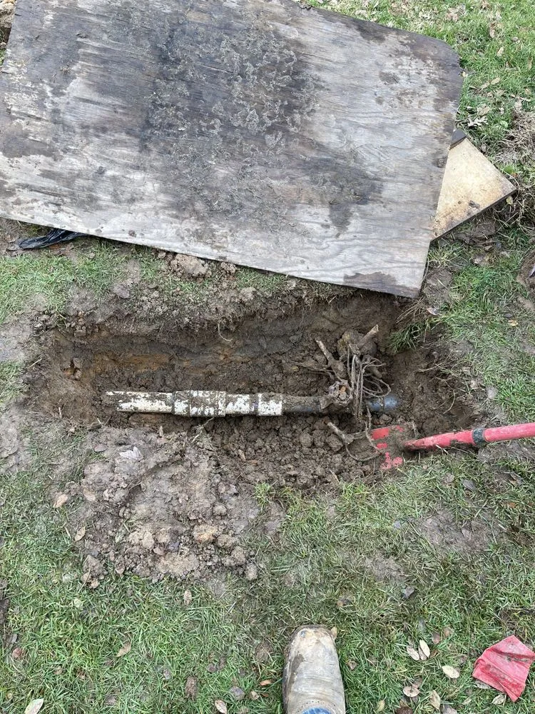 Expert landscape installation for year-round maintenance in Ione, CA by Property Landscape Solutions