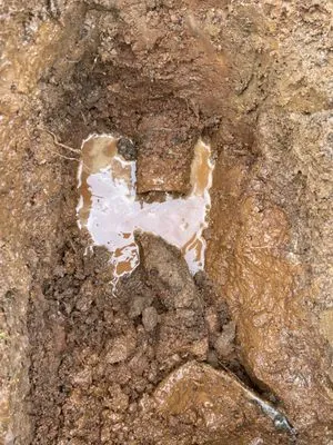 Property Landscape Solutions