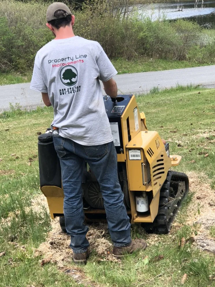 Affordable yard cleanup service in Treadwell, NY - Property Line Improvements
