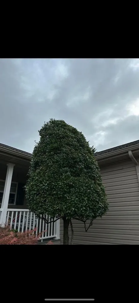 Custom residential landscaping near you in Greeneville, TN by Property Line Lawn Care & Maintenance