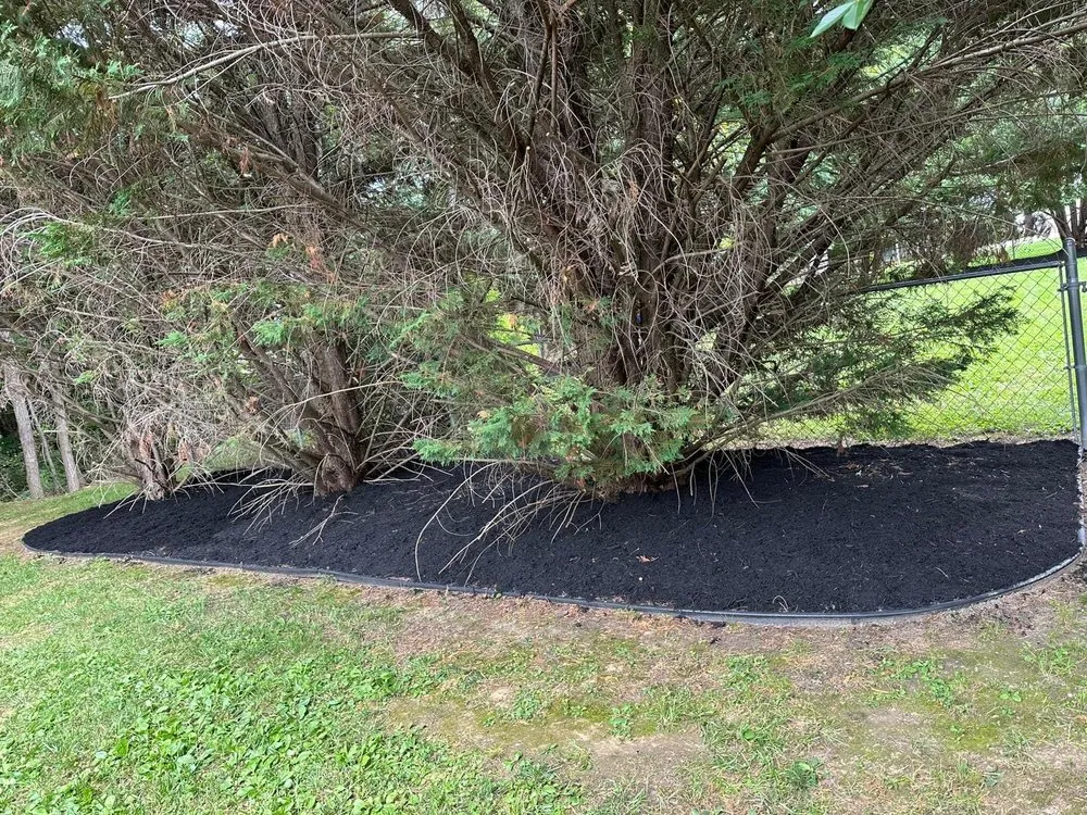 Reliable lawn mowing service for residential properties across Greeneville, TN - Property Line Lawn Care & Maintenance