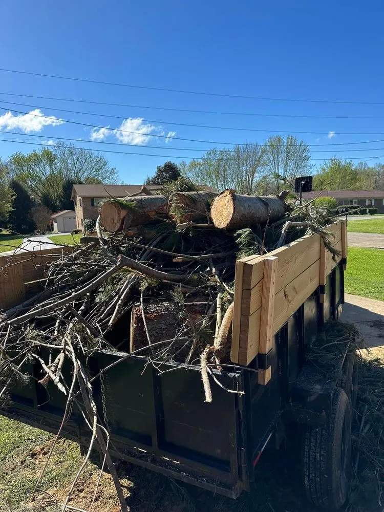 Professional lawn care service for year-round maintenance in Greeneville, TN by Property Line Lawn Care & Maintenance