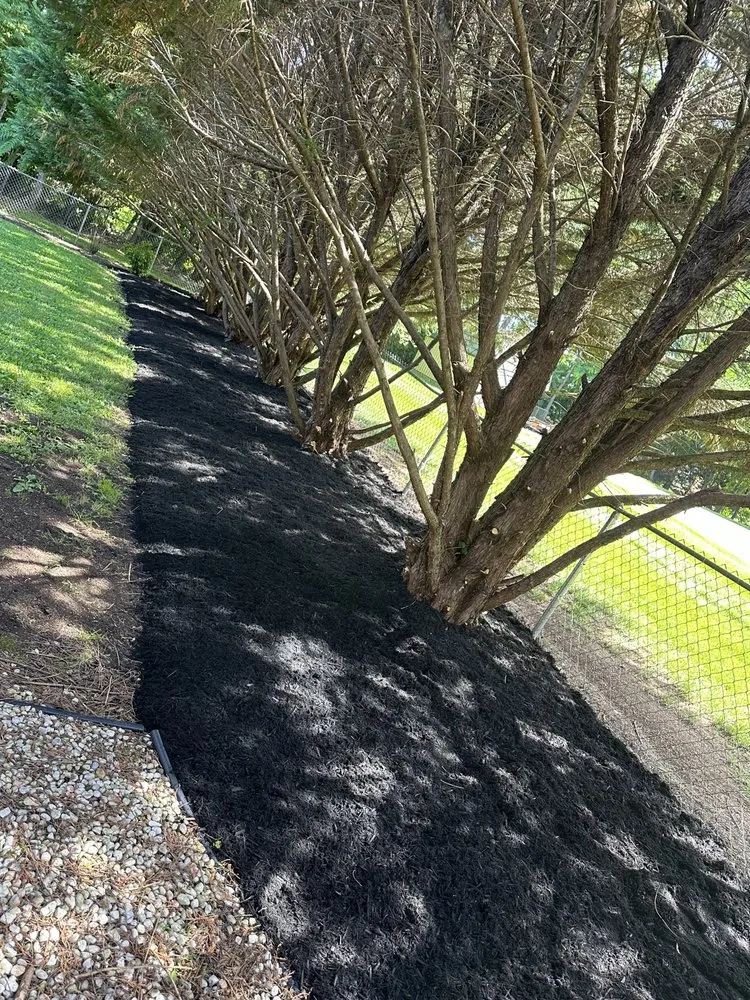 Reliable lawn mowing service for homes across Greeneville, TN - Property Line Lawn Care & Maintenance