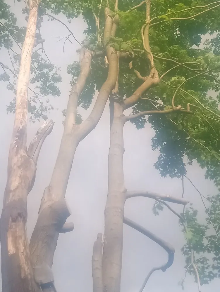 Trusted landscape installation in Crawfordsville, IN - Property Maintenance