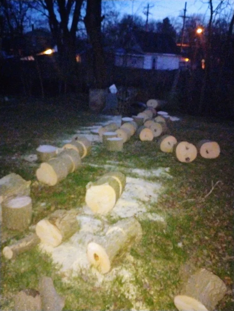 Affordable lawn care service for residential properties across Crawfordsville, IN - Property Maintenance