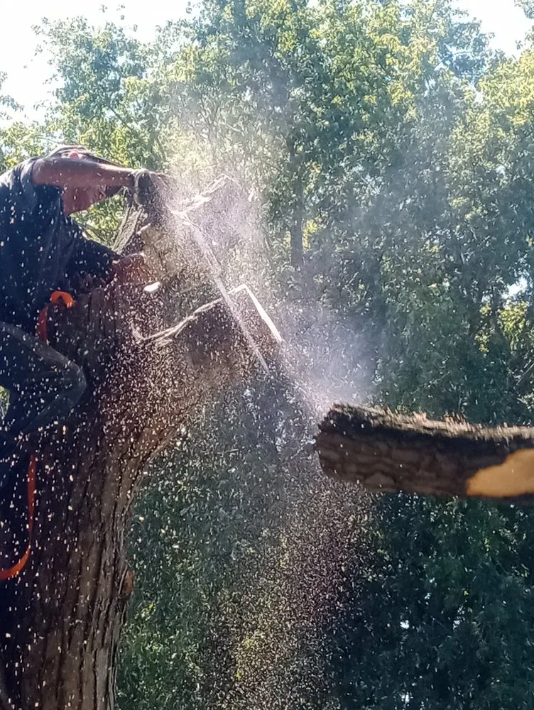 Custom lawn mowing service for outdoor upgrades in Crawfordsville, IN by Property Maintenance