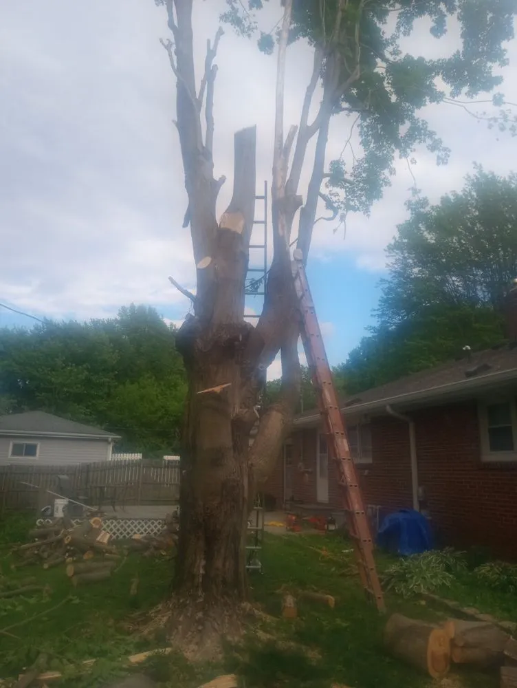 Expert lawn care service experts serving Crawfordsville, IN - Property Maintenance