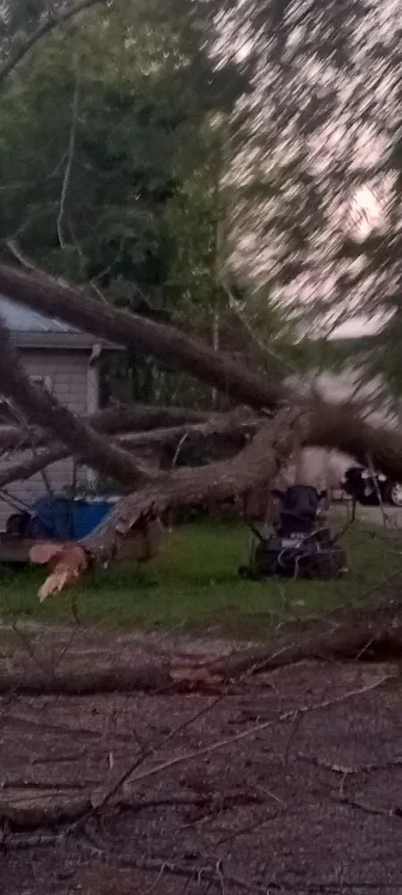 Affordable outdoor landscaping in Crawfordsville, IN - Property Maintenance