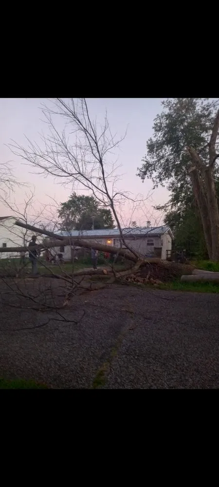 Trusted yard cleanup service in Crawfordsville, IN - Property Maintenance