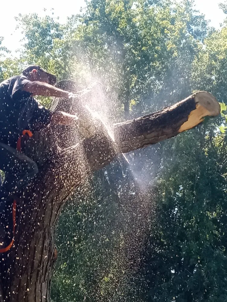 Reliable lawn care service in Crawfordsville, IN by Property Maintenance