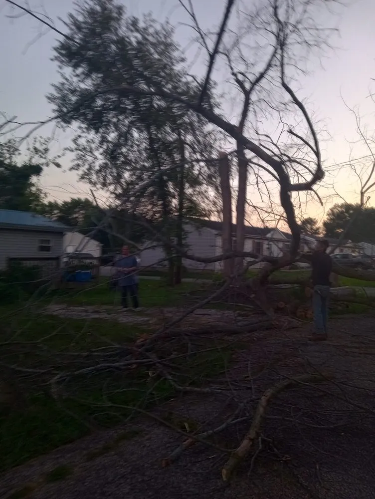 Professional landscaping services for homes in Crawfordsville, IN by Property Maintenance