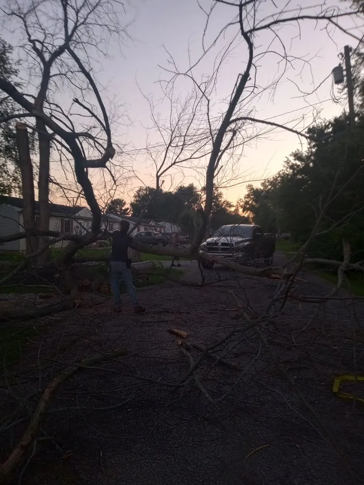 Professional outdoor landscaping in Crawfordsville, IN by Property Maintenance