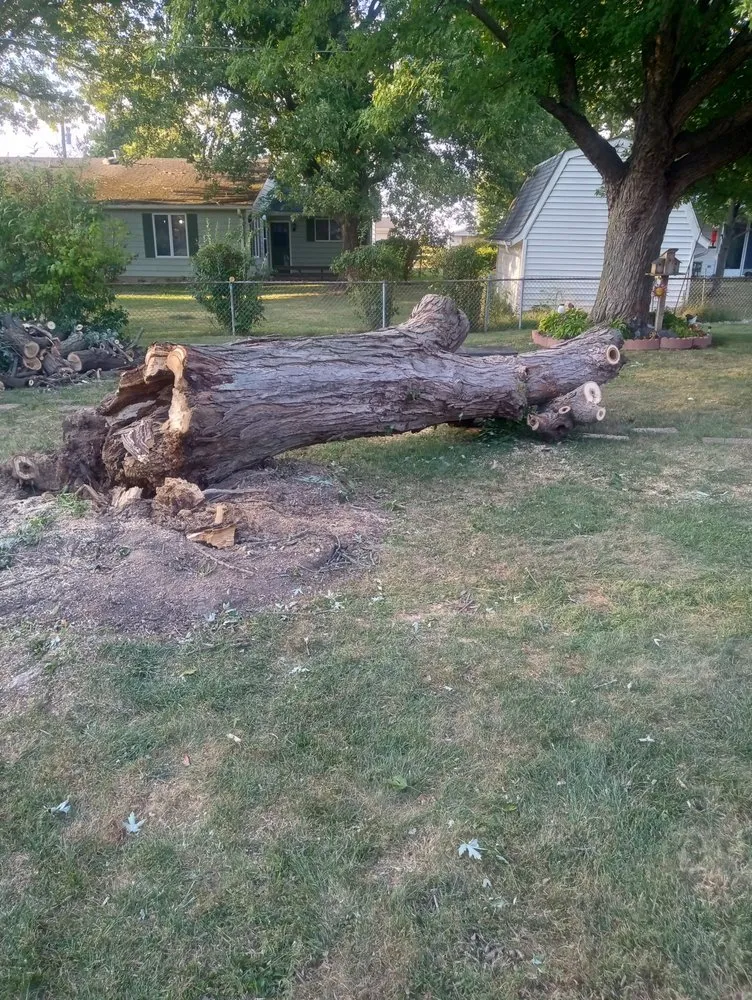 Custom outdoor landscaping in Crawfordsville, IN - Property Maintenance