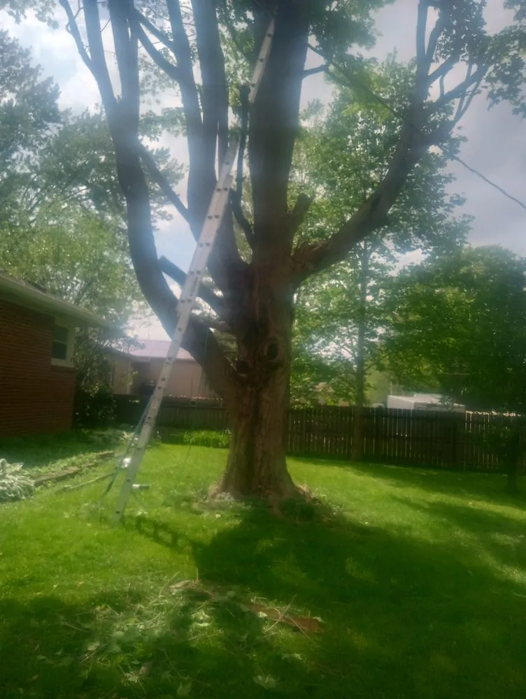 Professional landscaping services for homes in Crawfordsville, IN by Property Maintenance