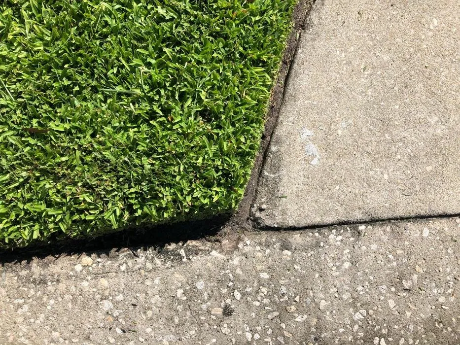 Reliable landscape design experts serving Geneva, FL - Property Maintenance Professional Contractors