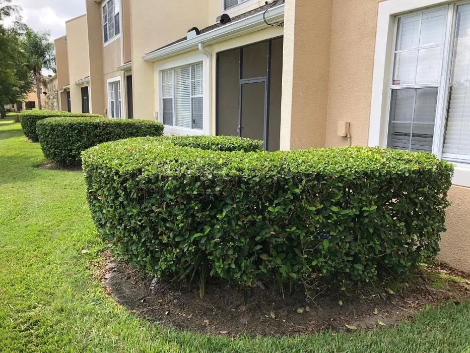 Professional lawn mowing service in Geneva, FL - Property Maintenance Professional Contractors