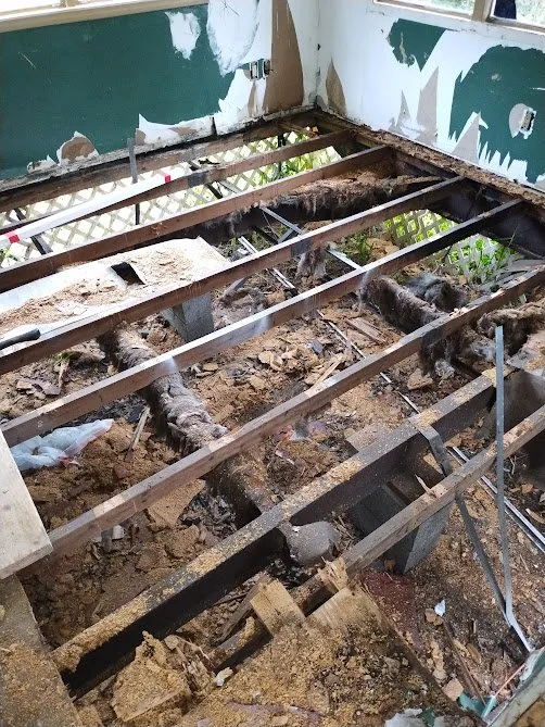 Top-rated yard maintenance experts serving North Fort Myers, FL - Property Maintenance Services & Repair