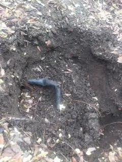 Trusted lawn care service for residential properties in Littleton, CO by Property Management Assistants