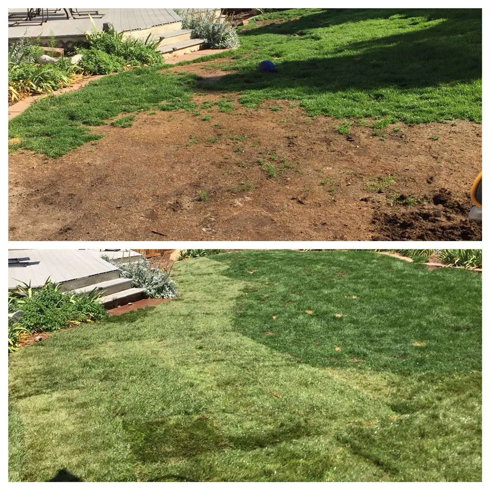 Affordable residential landscaping experts serving Littleton, CO - Property Management Assistants