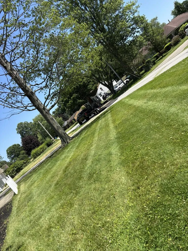 Reliable landscaping services in Chardon, OH by Property Management By E&E