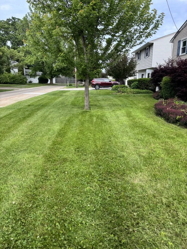 Professional landscaping services for outdoor upgrades in Chardon, OH by Property Management By E&E