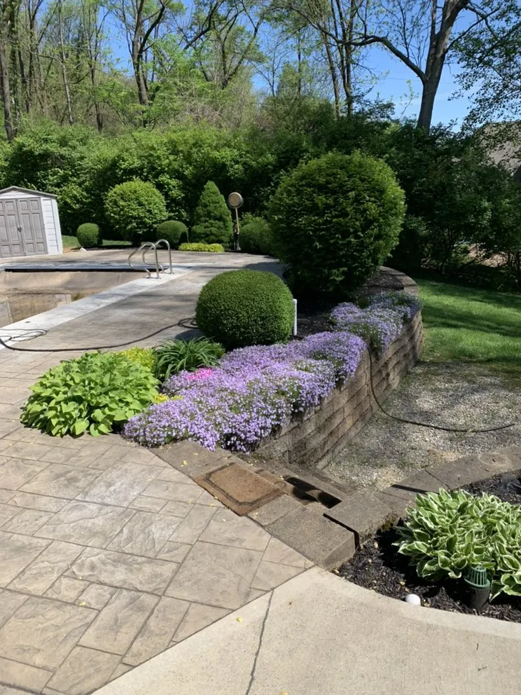 Affordable lawn mowing service in Indianapolis, IN - Property Masters