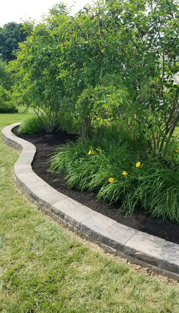 Local lawn care service in Indianapolis, IN - Property Masters