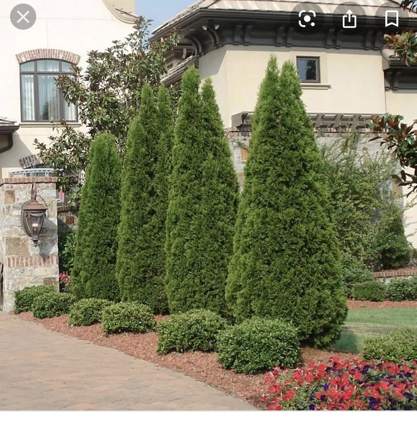 Professional garden landscaping in Indianapolis, IN - Property Masters