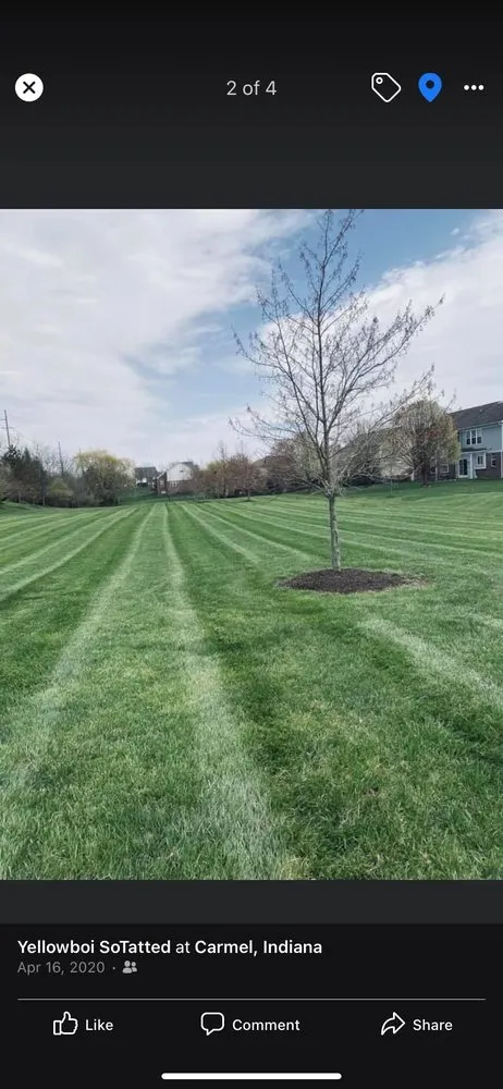Expert lawn care service for year-round maintenance in Indianapolis, IN by Property Masters