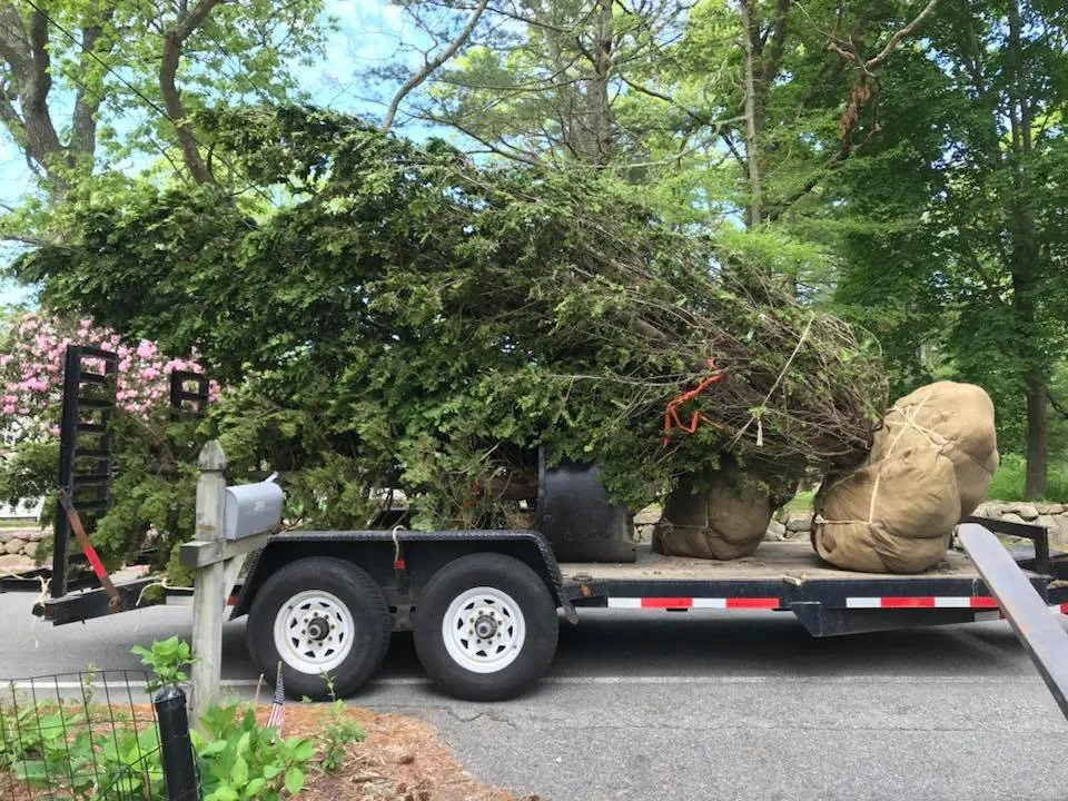 Top-rated yard maintenance in Marion, MA by Property One Landscape Contractors