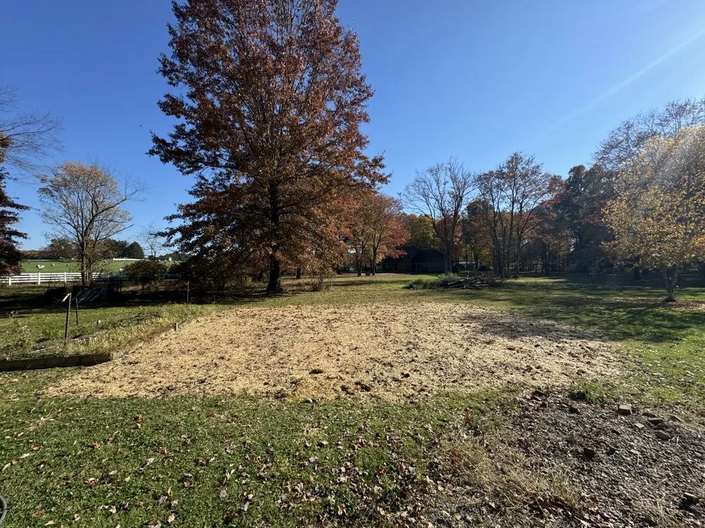 Top-rated outdoor landscaping in Kittanning, PA by Property Polishers