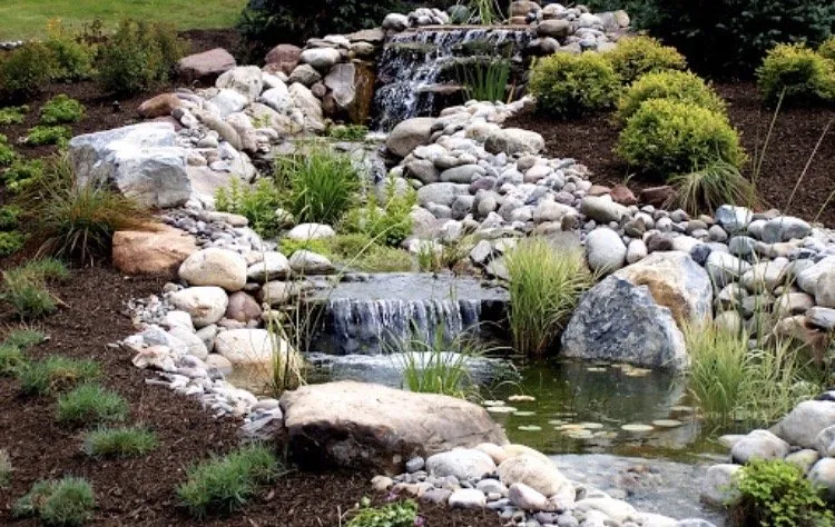 Top-rated lawn mowing service experts serving Sparks, NV - Property Preservationist