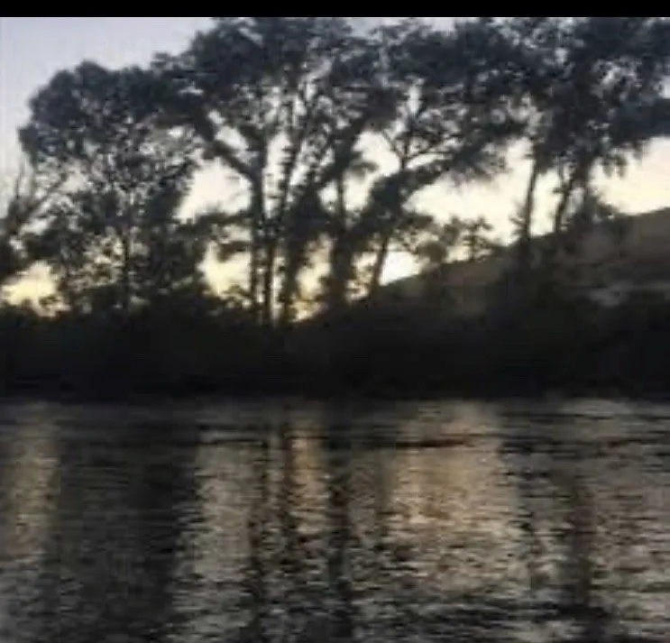 Expert yard maintenance experts serving Sparks, NV - Property Preservationist