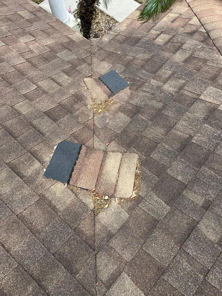 Local yard maintenance in Pensacola, FL by Property Prophet