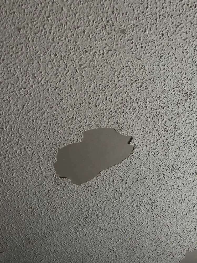 Affordable landscape installation in Pensacola, FL by Property Prophet