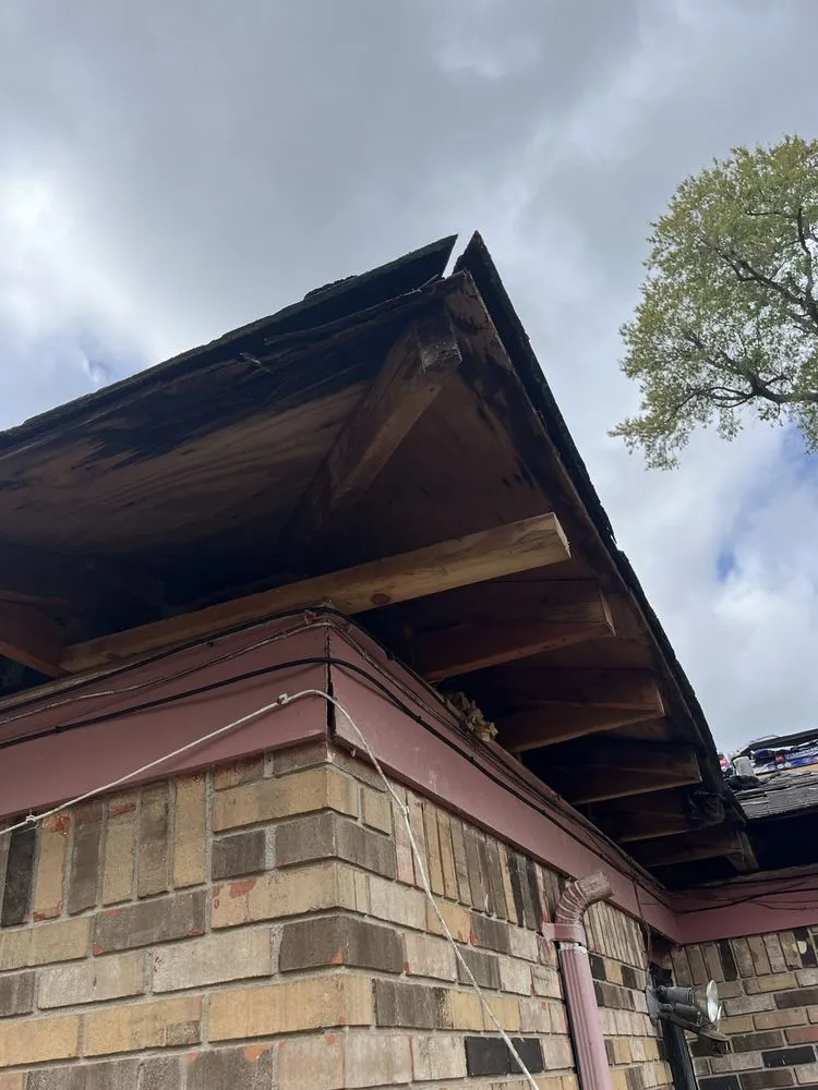 Top-rated yard maintenance in Pensacola, FL - Property Prophet