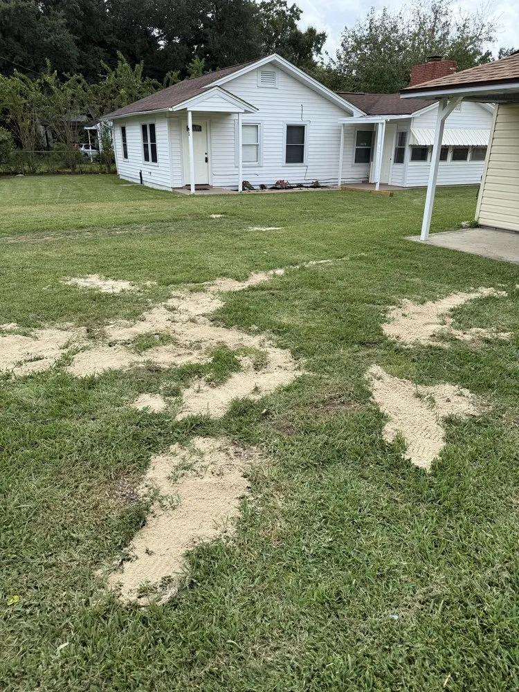 Top-rated landscaping services for residential properties across Pensacola, FL - Property Prophet