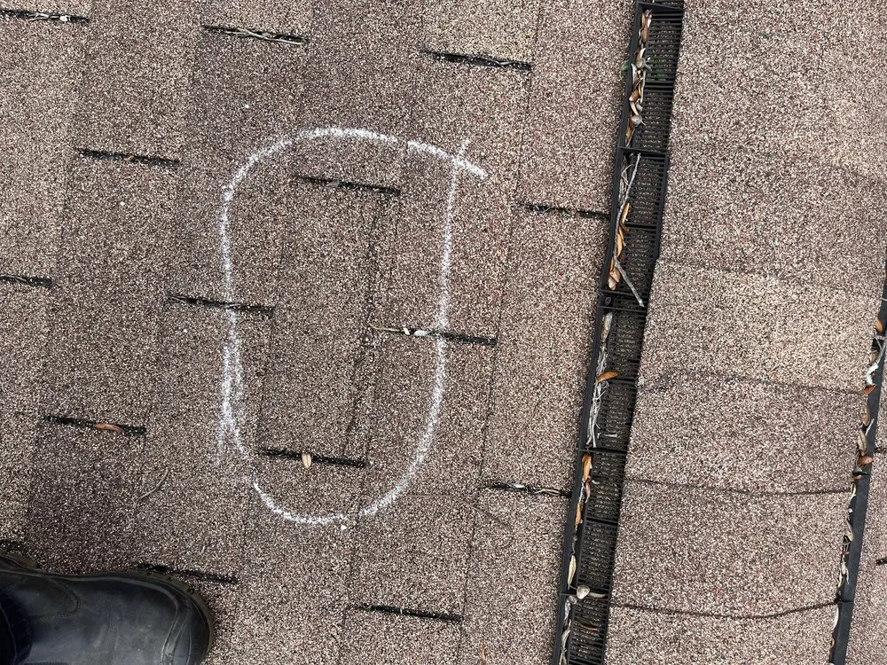 Expert landscape installation in Pensacola, FL - Property Prophet