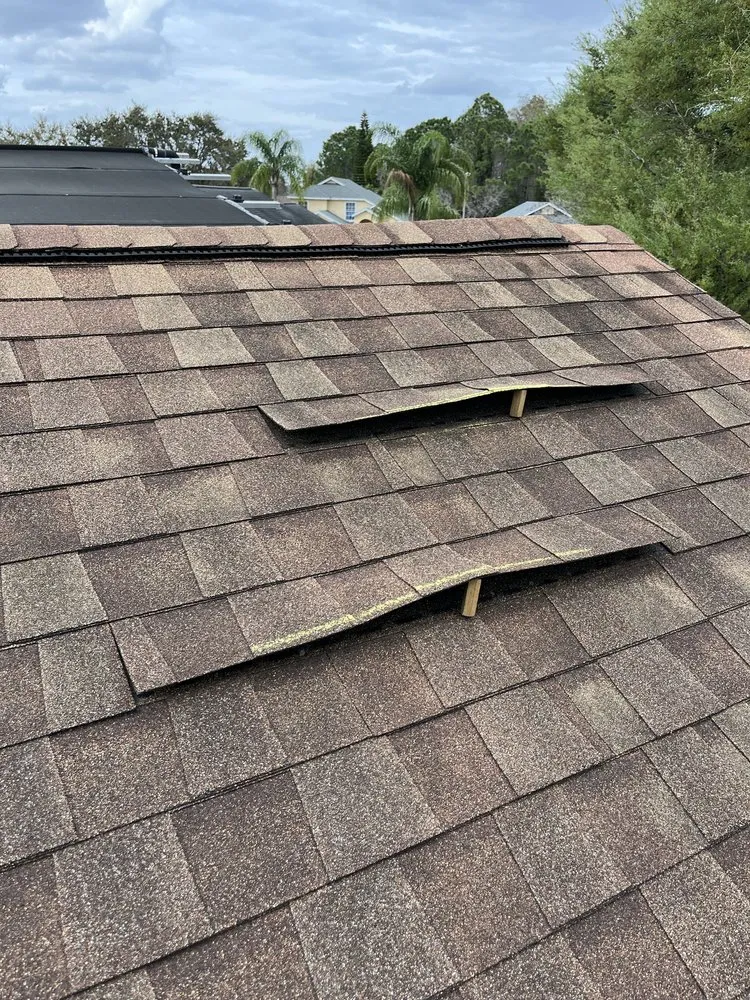 Local yard maintenance in Pensacola, FL - Property Prophet