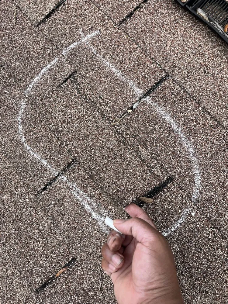 Custom landscape installation in Pensacola, FL - Property Prophet