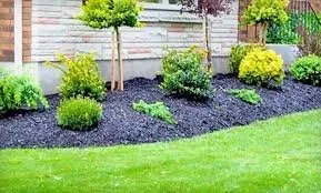 Reliable landscaping services for outdoor upgrades in Fort Worth, TX by Property Pros DFW