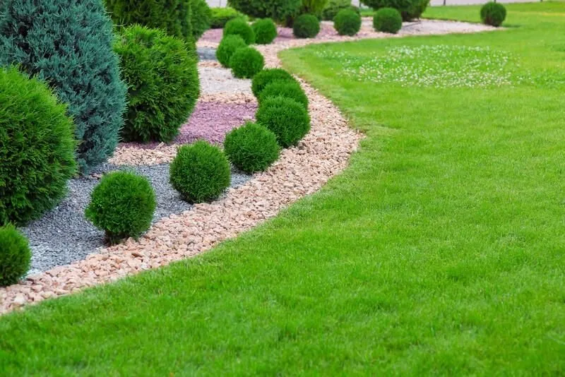 Local yard cleanup service in Fort Worth, TX by Property Pros DFW