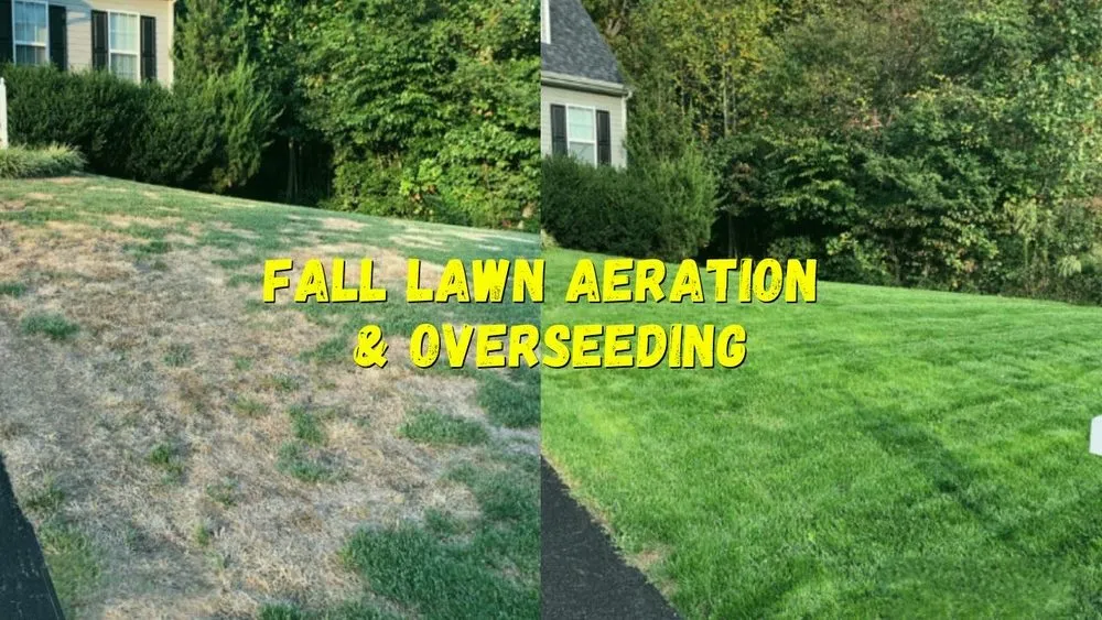 Reliable landscaping services for beautiful yards in Fort Worth, TX by Property Pros DFW