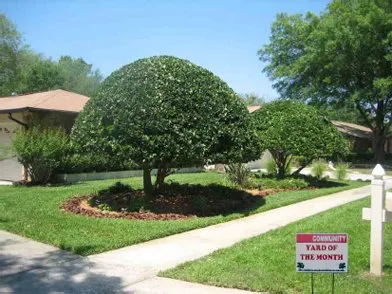 Local yard maintenance experts serving Fort Worth, TX - Property Pros DFW