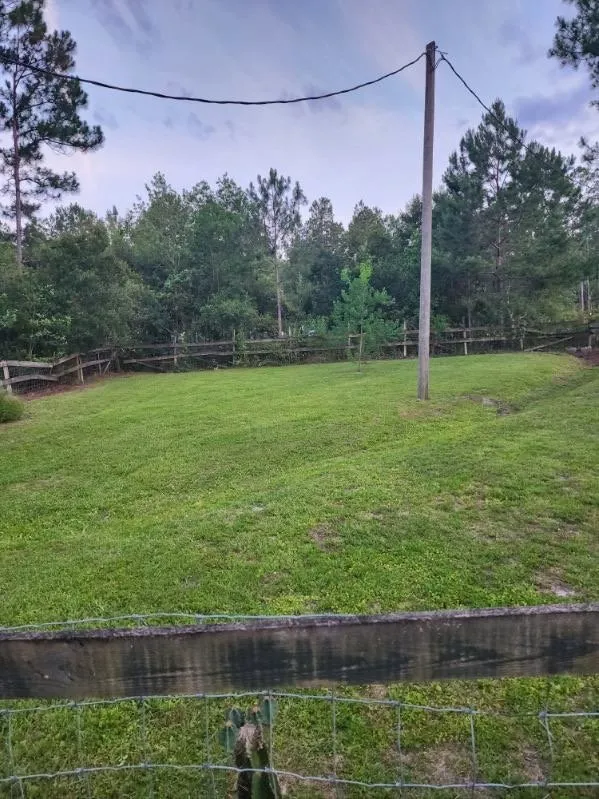 Affordable landscaping services experts serving Hastings, FL - Property Pros Lawn Service