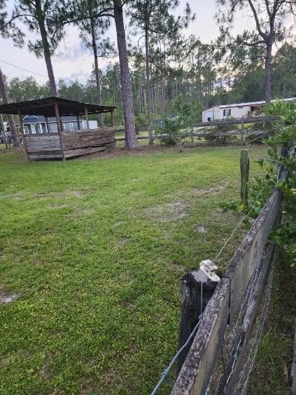 Trusted lawn care service in Hastings, FL by Property Pros Lawn Service